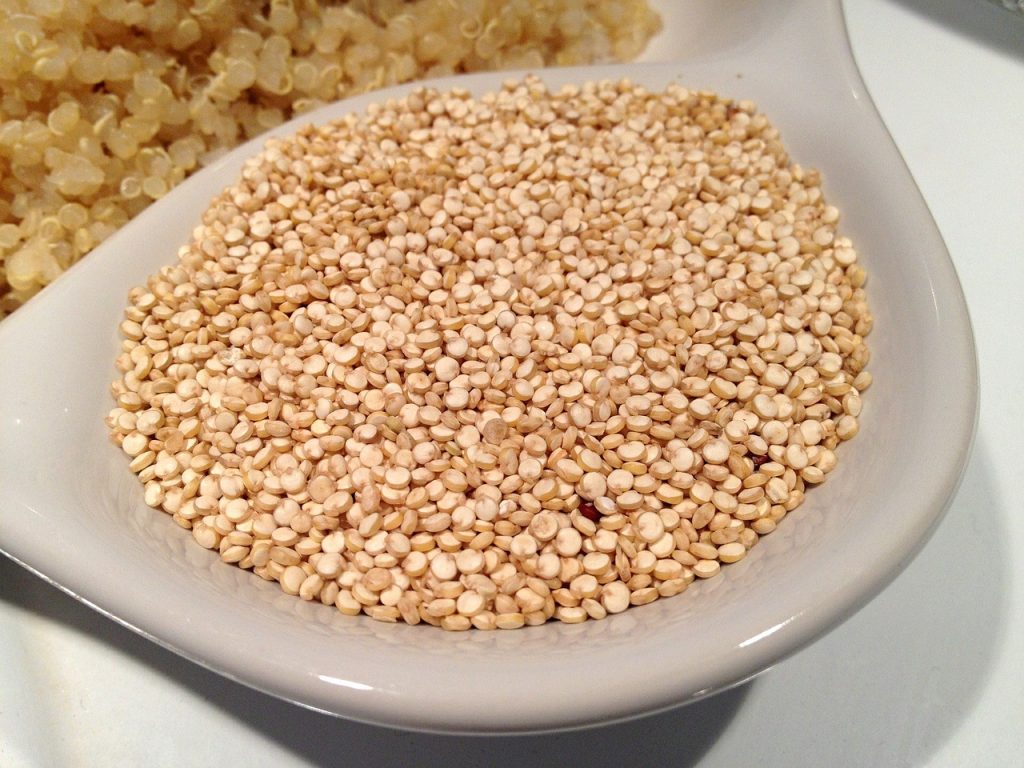 quinoa-405538_1280