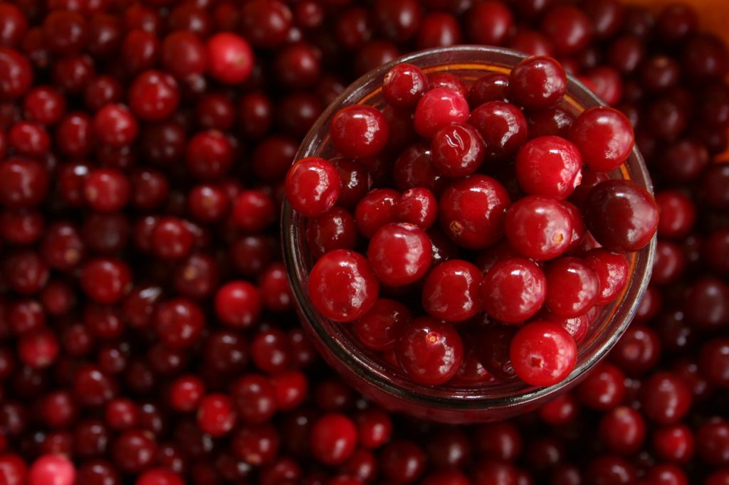 Cranberry Sauce