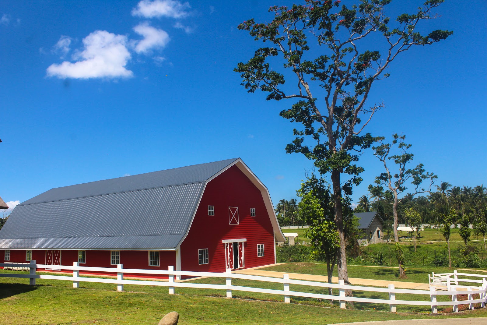 Old Grove Farmstead For Nature Lovers