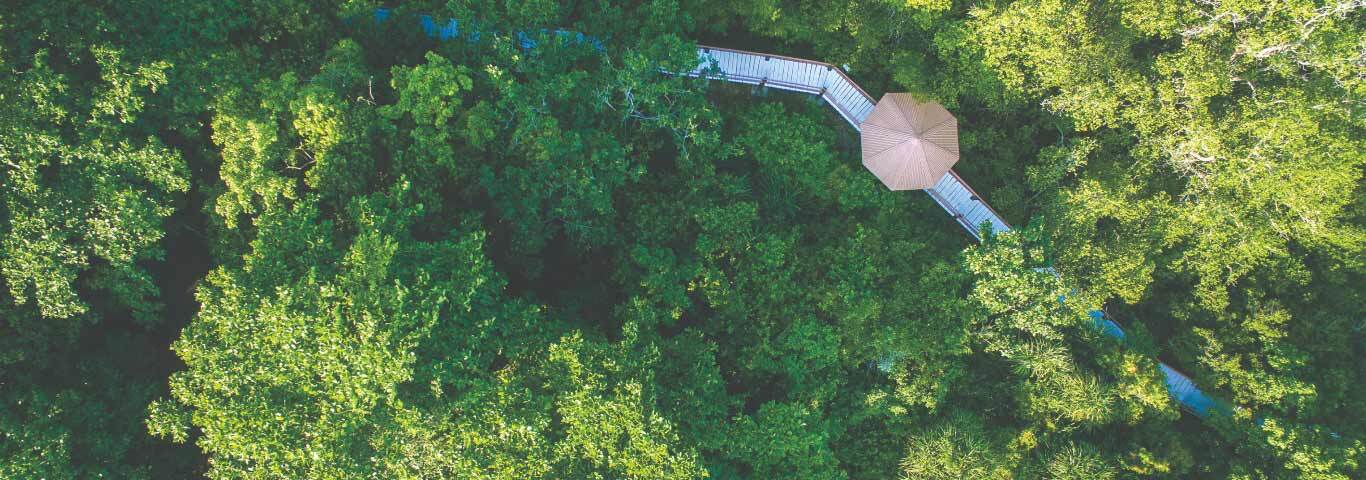 Featured Report Background