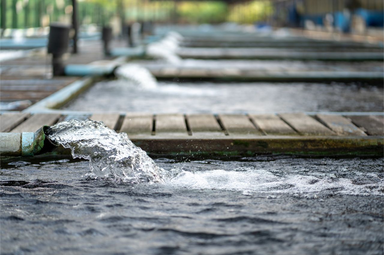 Industrial Park Water Management in the Philippines